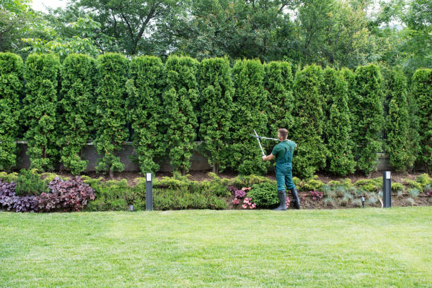 Best Artificial Turf Installation  in Mcgaheysville, VA